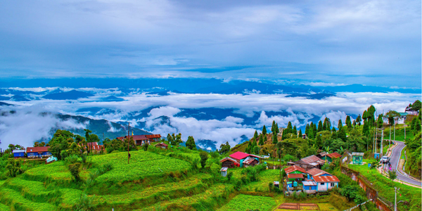 
        Darjeeling Image